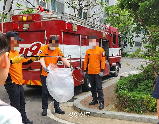 서울 마포구의 한 아파트 단지에 출몰한 독사. 이후 출동한 구급대원들이 신고자와 주민들이 지켜보는 가운데 뱀을 포획했다. 독자제공