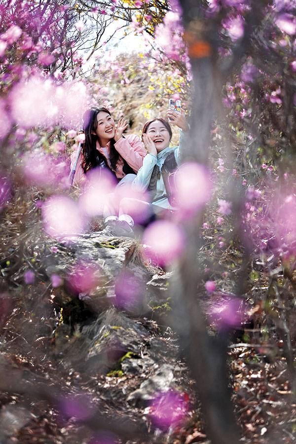 진달래 정글이란 말이 어울리는 진달래 터널에서 기념사진을 찍는 최서윤·이민정(오른쪽)씨.
