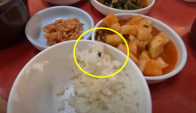 지난 11일 충남 예산군 국밥거리에 있는 한 식당의 음식에 파리가 앉아 있다. / 사진=유튜브 '꿀돔은 못말려'