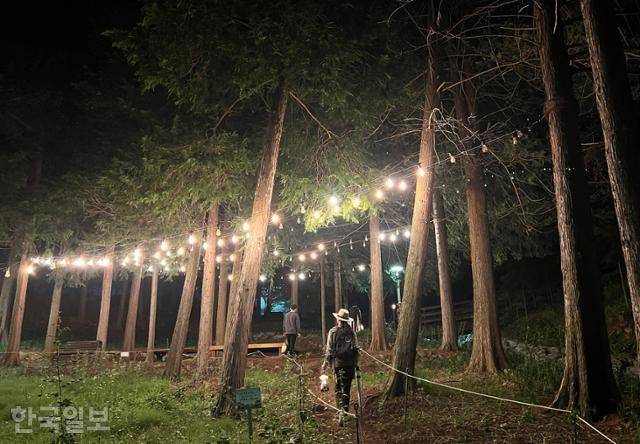 내장산생태탐방원의 단체 맞춤형 프로그램인 정읍사공원 야행.
