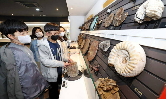 어린이들이 선캄브리아시대부터 신생대까지의 화석을 살펴보고 있다.
