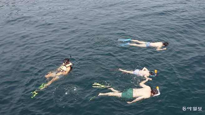 코록에서 스노클링을 즐기는 모습. 안영배 기자