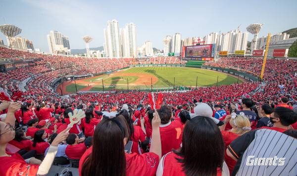 지난 20일 사직 SSG 랜더스전에 사직구장을 동백 유니폼으로 붉게 물들인 모습.