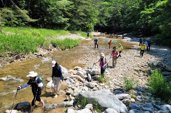 물길 트레킹은 아무도 없는 청정 계곡을 걷는다. 대신 일행은 여러 명이어야 좋다. 안전사고 위험 때문이다.