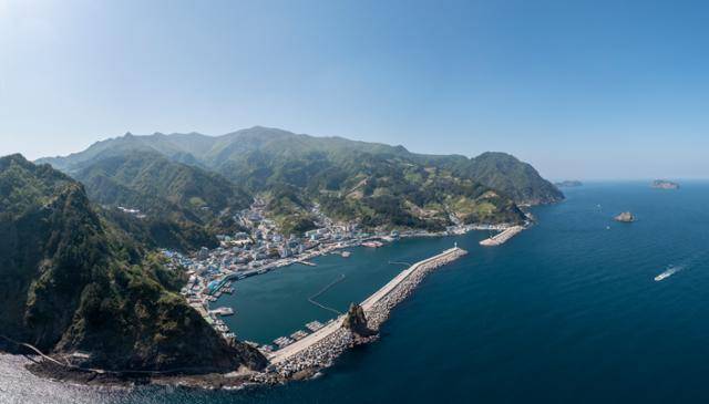 연간 수십만 명의 관광객이 들어오는 경북 울릉군 저동항에 마을이 밀집돼 있다. 그 뒤로 수백 종의 특산식물이 자라는 울창한 숲이 이어지고 있다. 울릉군 제공