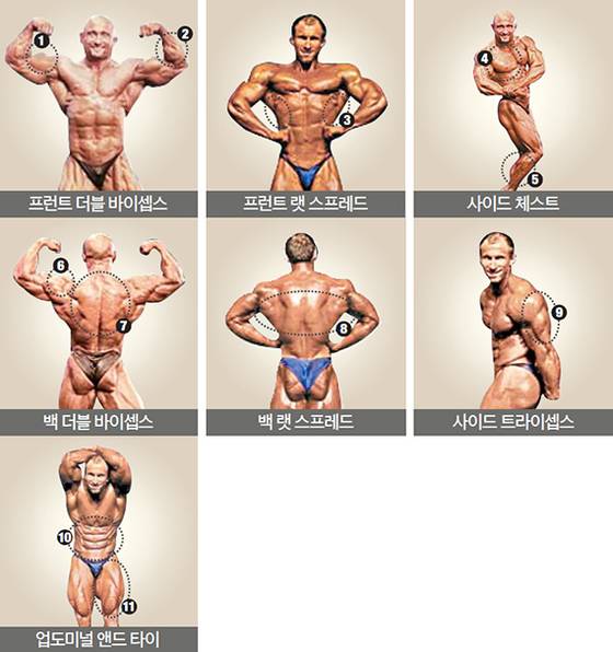 심사 부위 ①이두근의 솟은 정도. ②전완근의 선명도. ③광배근의 양쪽 균형. ④측면에서 본 가슴근육. ⑤종아리 근육의 갈라짐. ⑥삼각근의 도드라짐. ⑦승모근의 균형. ⑧광배근의 펼쳐짐. ⑨측면에서 본 삼두근. ⑩복근의 선명도. ⑪허벅지 근육의 밀도.