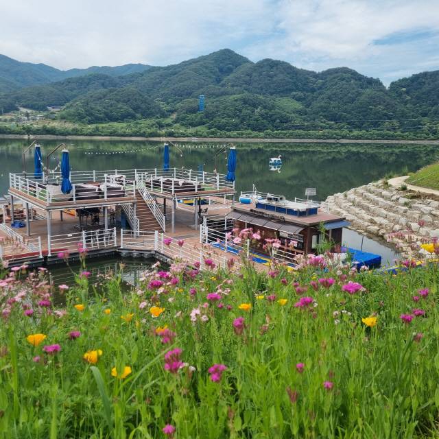 ▲ 양구 한반도섬의 대변신이 진행되고 있다. 한반도섬 법사면 꽃밭.