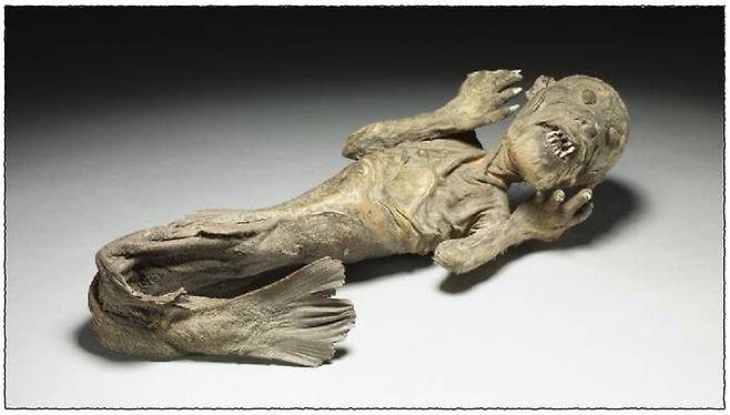 Mermaid(1700/1799) Photo: ⓒ Trustees of the British Museum