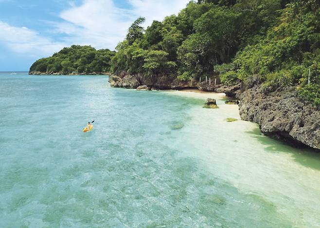 사진제공 : 에이뷰코리아