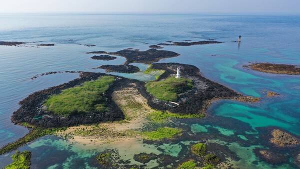 제주 다려도 / 온라인 커뮤니티