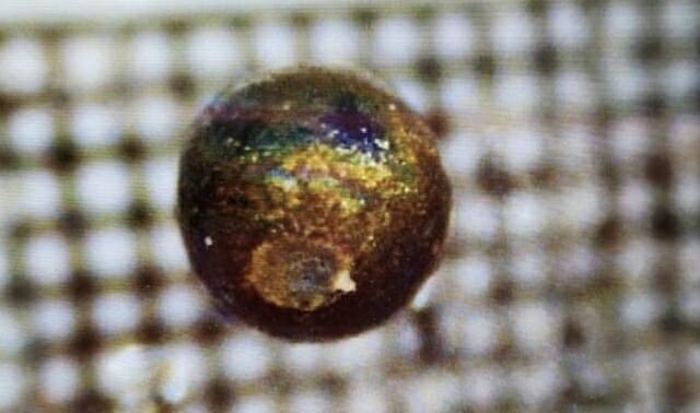 탐태평양 바닥에서 발견된 작은 구체. 아비 로브 교수는 이 물질이 외계 우주선의 파편일 수 있다고 밝혔다. (사진=아비 로브)