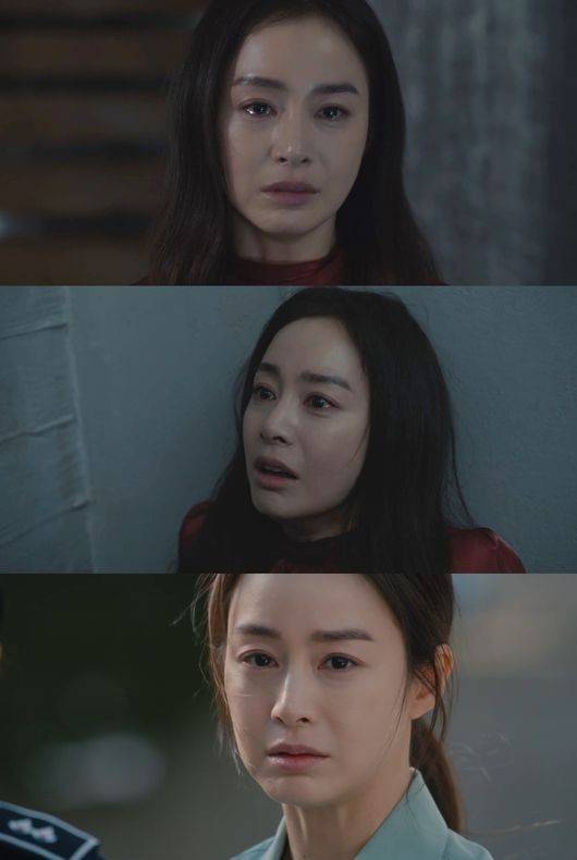 티브이데일리 포토