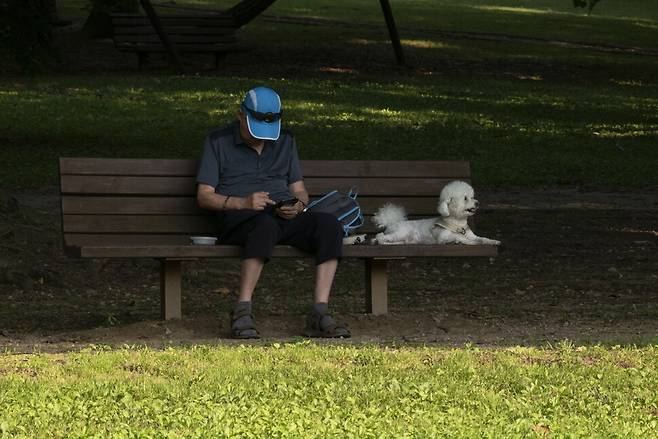 반려견 산책이 많은 올림픽공원이지만 개를 보고도 크게 놀라지 않는다. 그러나 이곳엔 대륙검은지빠귀의 천적인 길고양이가 많다.