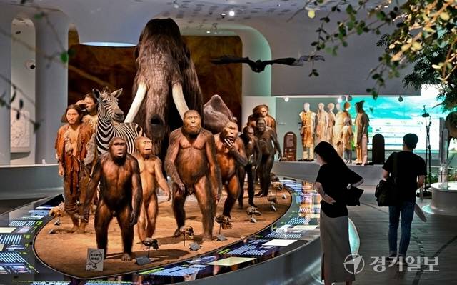 약 700만 년 전의 투마이로부터 약 1만 년 전의 만달인까지 총 14개체의 화석인류의 진화과정을 만날 수 있는 인류진화의 위대한 행진. 윤원규기자