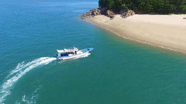 온라인 커뮤니티