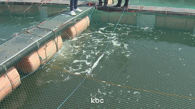 ▲ 자료 이미지