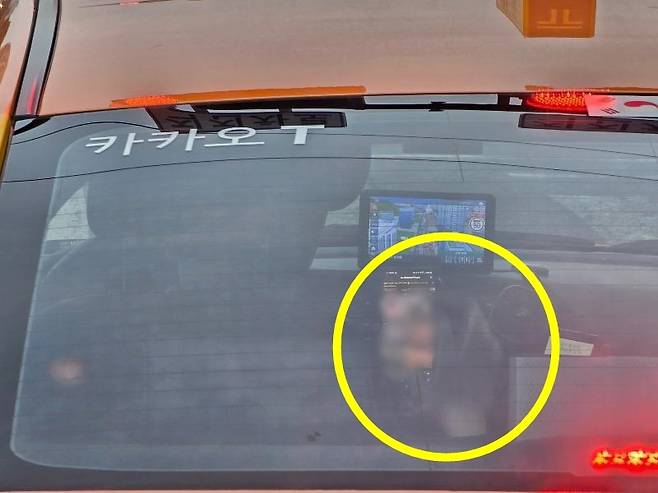 ('보배드림' 갈무리)