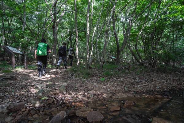 호룡곡산 등산로 초입부터 조그만 계곡을 만난다.