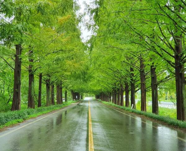 온라인 커뮤니티