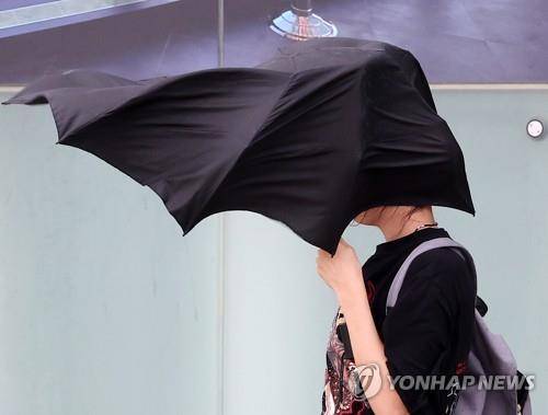 카눈이 몰고온 강풍 (부산=연합뉴스) 손형주 기자 = 제6호 태풍 '카눈'이 북상하고 있는 9일 부산 해운대구 엘시티 인근에 태풍이 몰고온 강한 바람에 빌딩풍이 더해져 우산을 쓴 관광객이 힘겹게 걸어가고 있다. 2023.8.9
handbrother@yna.co.kr