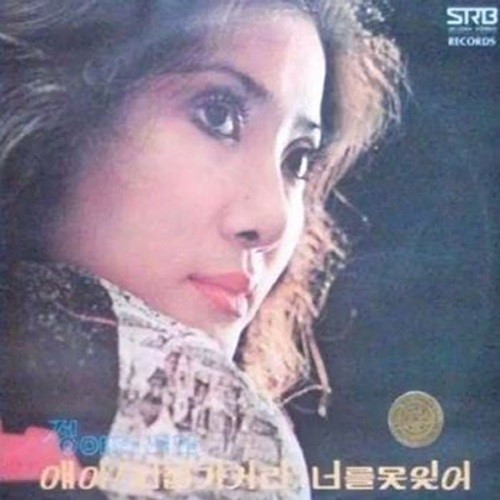 It has been nine years since singer Jung Ae-ri passed away.The late Jung Ae-ri died suddenly on August 10, 2014 at the age of 62, when he stumbled while walking in Banpo Han River Park late in the evening.Immediately after the accident, Jung Ae-ri was immediately taken to the hospital, but eventually left the world.At that time, Jung Ae-ris daughter, Cho Min-ryong, said in an interview with OBS Unique Entertainment News that (Mother) left Walking at 9 pm. There was a rainy road and there was a place under construction.Mother promised to meet us, but when I went there, I did not report it and found Mother. We think that Mother is a frequent walker, but it seems to be slipping because it is a rainy road, he added.Jung Ae-ri made his debut in 1971 with Kim Hak-sungs I can not help it. In addition to his representative song Get married, he was loved by the early 1980s with Teach me love and Understanding.