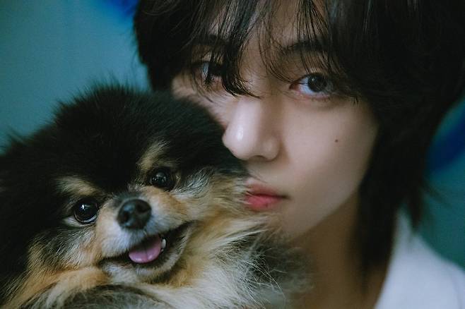 BTS V has captivated global fans with its supernatural charm.BTS unveiled the concept photo of Vs solo album Layover on its official SNS at midnight on the 11th, raising expectations for a comeback with a total of 23 songs.The teaser contains new images captured in various everyday spaces. Each photo attracts attention with different compositions such as place, costume, pose, and atmosphere.Especially, the supernatural appearance of Vu is getting hot reaction. It is not a gorgeous appearance without makeup, but a natural and light daily life.The camera captured V from a variety of moods and angles, from close-ups to black and white, with a chic look and brilliant visuals.Meanwhile, V will release the songs Love Me Again and Rainy Days at 1 p.m. today.Love Me Again is an R & B genre. It is based on the soul sound of the 1970s and is accompanied by gospel and jazz. Vs rhythmical and charming bass adds a dreamy atmosphere.Layney Days is an alternative pop R & B genre. It combines vintage and unusual percussion sounds with modern drum sounds to create a unique atmosphere.