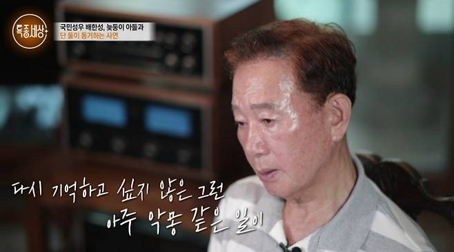 성우 배한성 /사진=MBN '특종세상' 방송화면 캡처