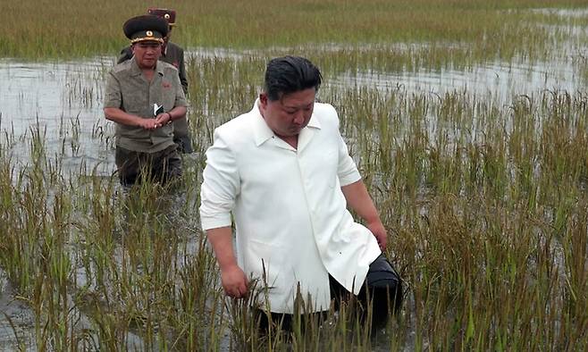 김정은 북한 국무위원장이 지난 21일 평안남도 간석지건설종합기업소 안석간석지 피해복구 현장을 현지지도 했다고 조선중앙통신이 22일 보도했다. 김 위원장이 흰색 상의와 검은색 바지를 입고 팔을 걷어붙인 채 허벅지까지 이르는 물에 잠긴 논에 직접 들어가는 모습을 연출했다. 조선중앙통신·연합뉴스