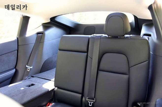 테슬라, 모델 Y RWD