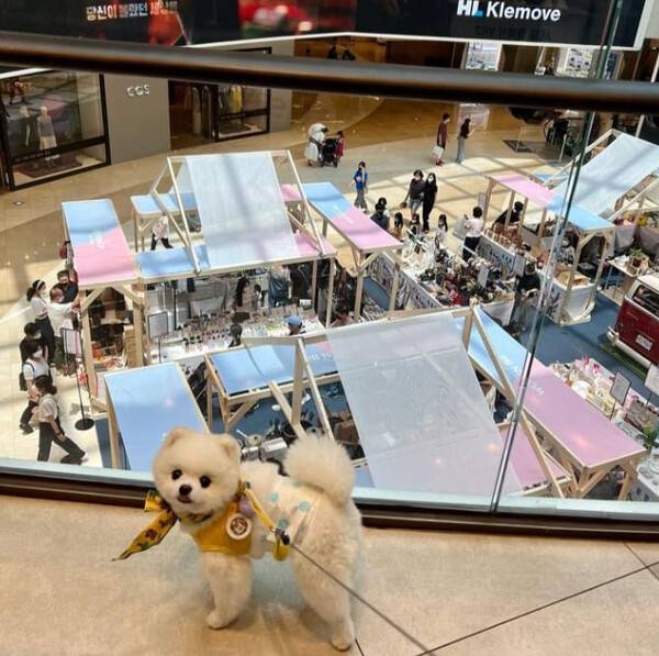 온라인 커뮤니티