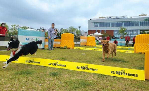 온라인 커뮤니티