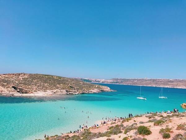 온라인 커뮤니티