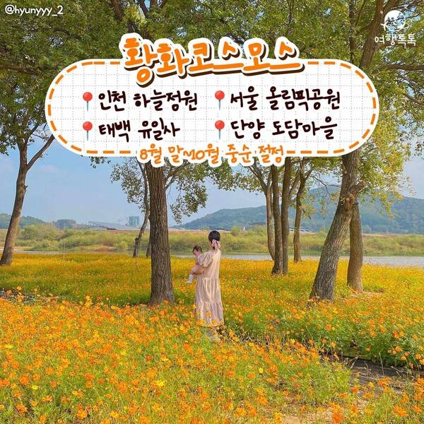 가을 데이트 코스 / @hyunyyy_2