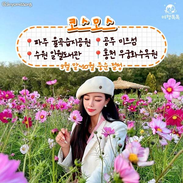 가을 데이트 코스 / @jinyomissong