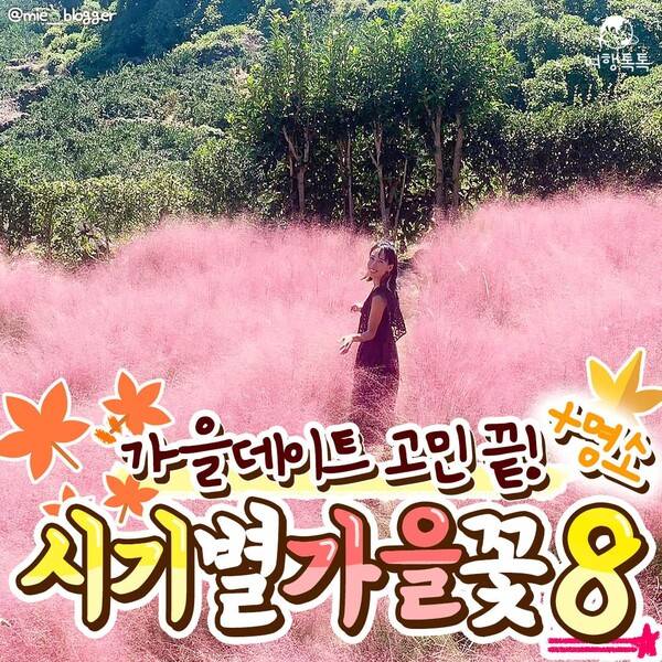 가을 데이트 코스 / @mie__blogger