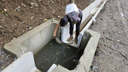 23일 오전 수원환경단체 활동가가 광교산 통신대길에 설치된 콘크리트 수로 안에 갇힌 개구리를 구조하고 있다. 오민주 기자