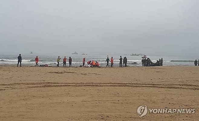 실종자 수색 이루어지는 포항 해안 (포항=연합뉴스) 손대성 기자 = 26일 오후 해병대 1사단이 있는 경북 포항시 남구 해안에서 수색 당국이 실종자 구조 작업을 벌이고 있다.
이날 오후 3시께 인근에서 시험 운전 중이던 장갑차 1대가 침수돼 방산업체 관계자 2명이 실종됐다. 2023.9.26 sds123@yna.co.kr