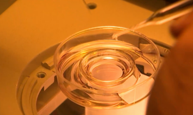 사진 = 매일경제