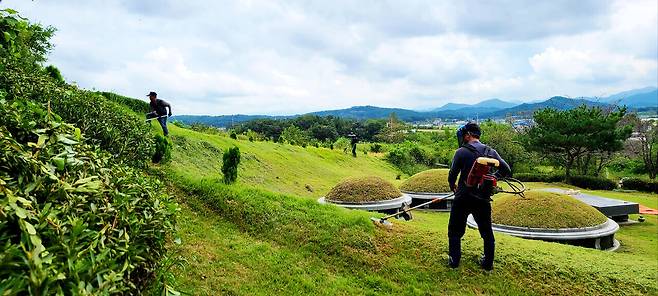 이 사진은 기사 내용과 무관합니다. 사진=대전일보DB.