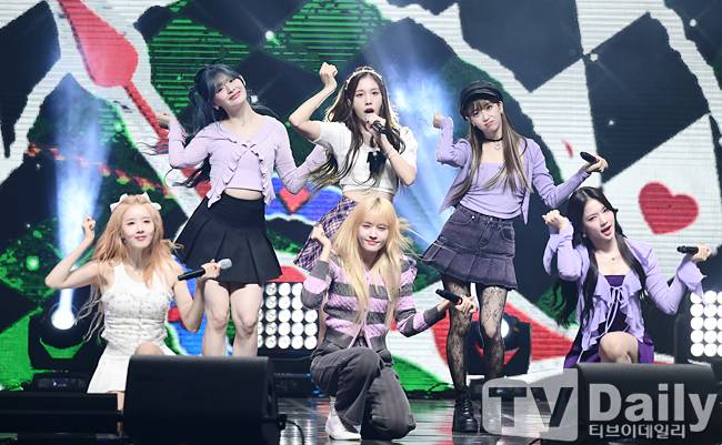 티브이데일리 포토