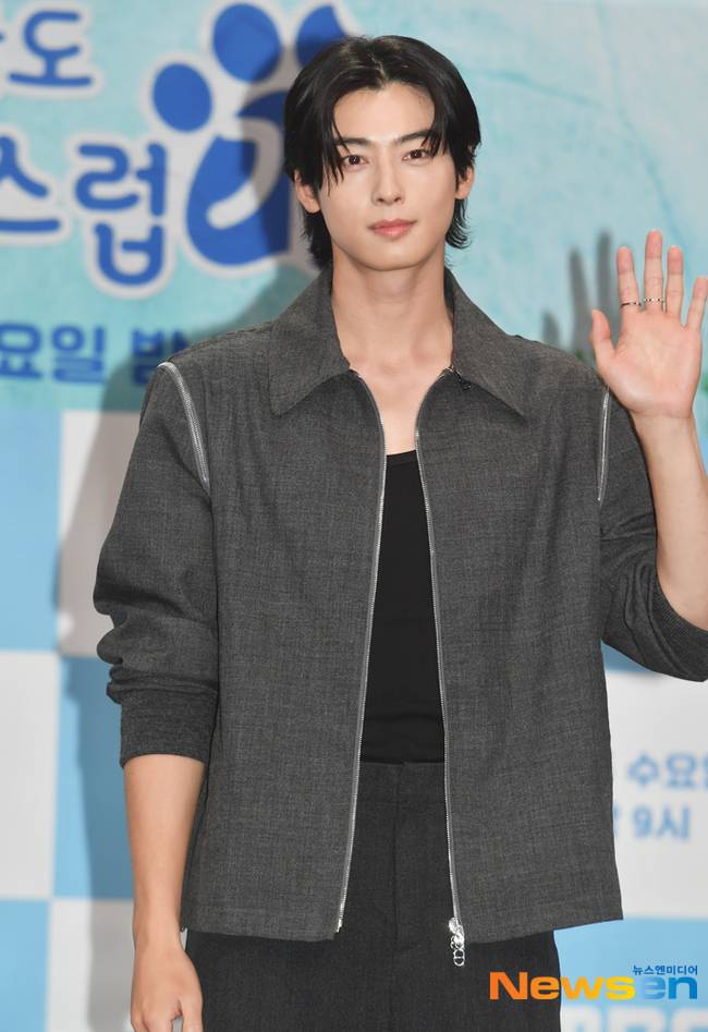 뉴스엔 DB