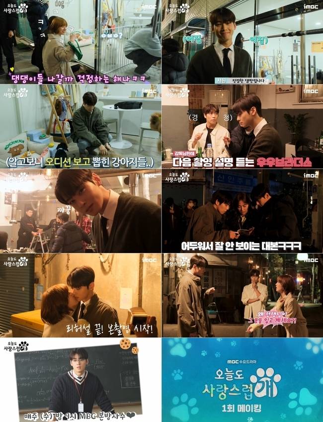 MBC ‘오늘도 사랑스럽개’ 제공
