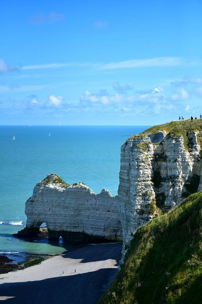 아기 코끼리 다몽 절벽.