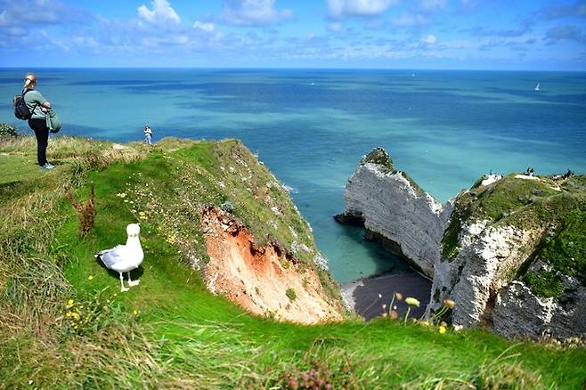 다몽 절벽과 갈매기.