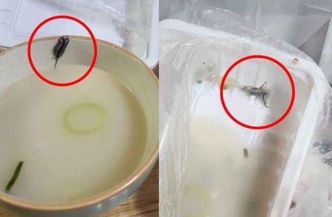 ⓒ온라인 커뮤니티 '아프니까 사장이다'