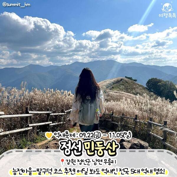 억새 명소 추천 / ⓒ여행톡톡