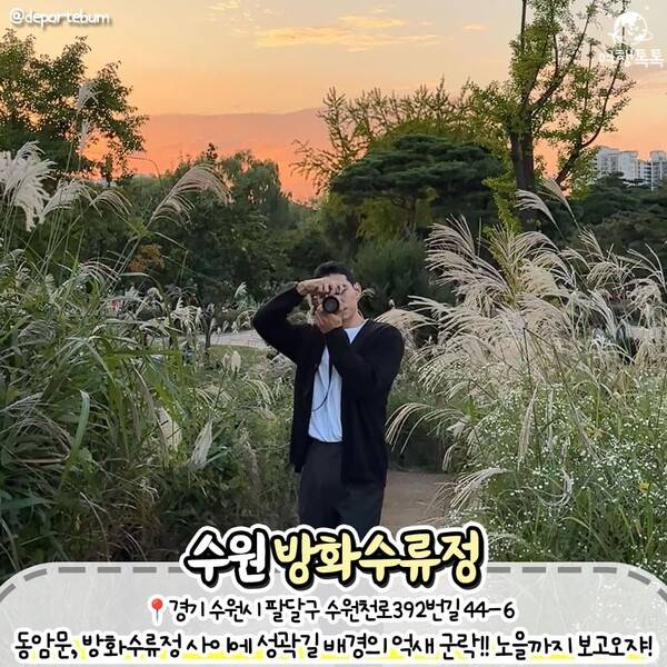 억새 명소 추천 / ⓒ여행톡톡