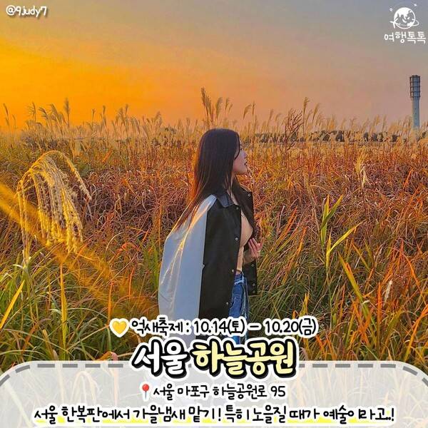 억새 명소 추천 / ⓒ여행톡톡