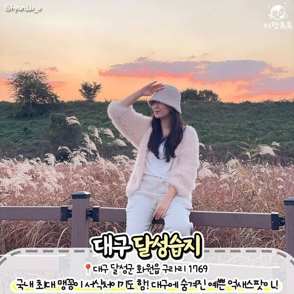 억새 명소 추천 / ⓒ여행톡톡