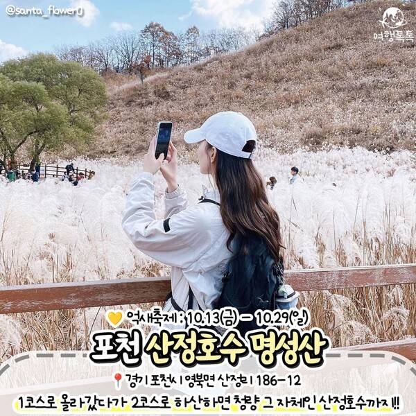 억새 명소 추천 / ⓒ여행톡톡
